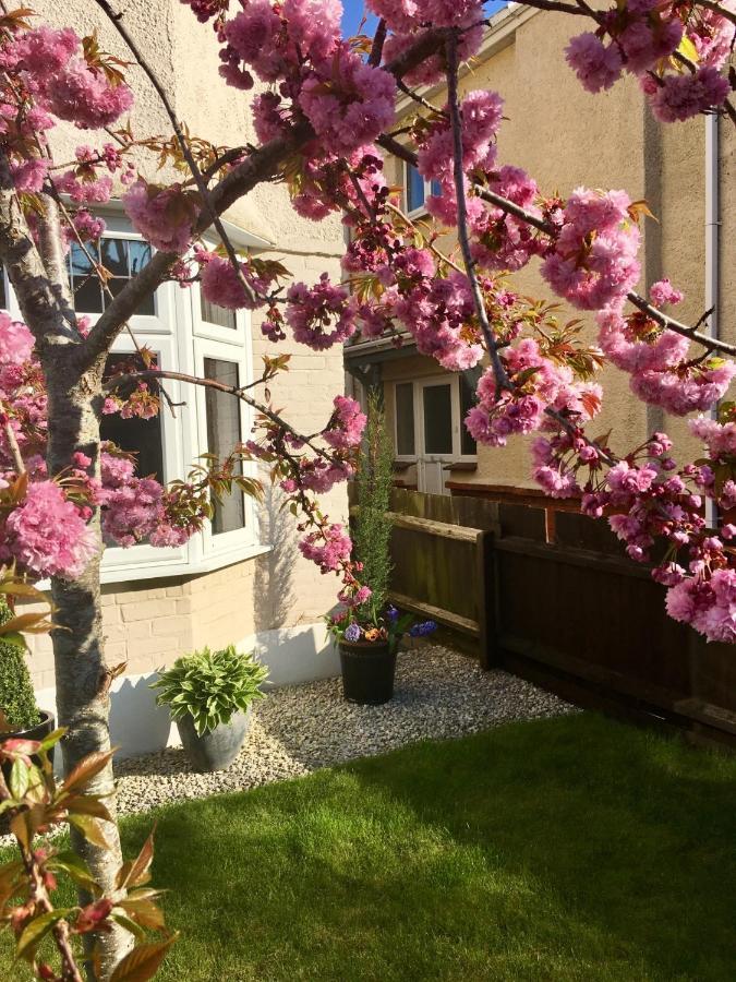 Cherry Tree House Bed & Breakfast Борнмът Екстериор снимка